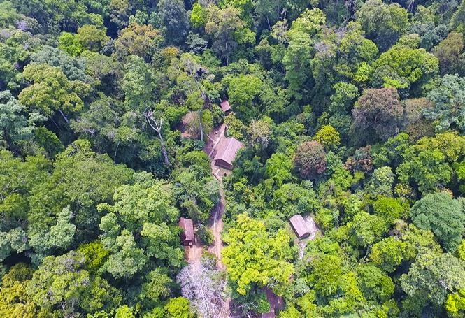 La aldea de Muong Thanh hoy en día. (Foto: VNA)