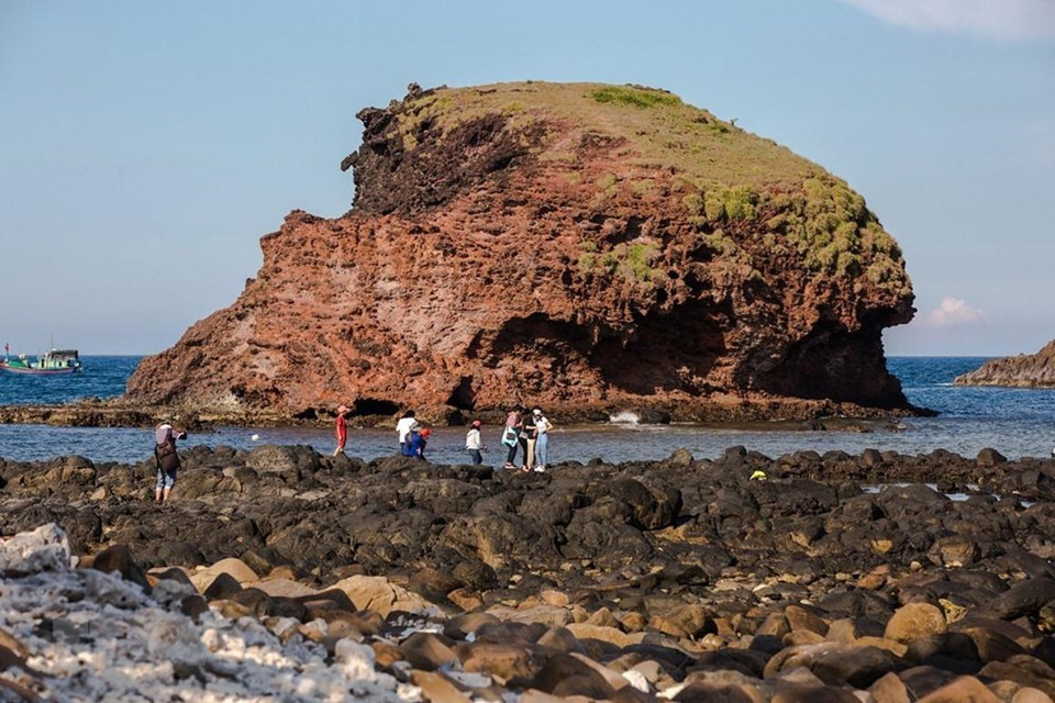 En la tarde con el marea baja, los arrecifes de coral aparecen en la superficie del agua. (Fuente: VNA)