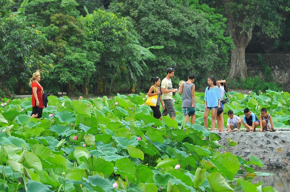 Cuando visitan a Bich Dong en estos días, los viajeros pueden disfrutar del hermoso paisaje y su paz. (Foto: Minh Duc / VNA)
