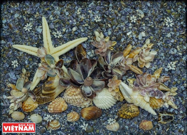 Tran Thi Ngoc Hieu, quien vive en la provincia central de Dong Nai, crea pinturas de las conchas. (Foto: VNA)