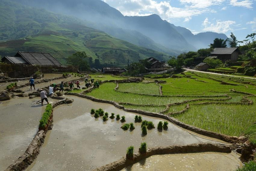Los campos que se extienden hasta el horizonte aparecen en medio de paisajes naturales idílicos, junto con el fragante aroma de arroz en los nuevos valles que hacen de este lugar un destino ideal para vacacionistas. (Fuente: VNA)