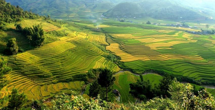 Los campos que se extienden hasta el horizonte aparecen en medio de paisajes naturales idílicos, junto con el fragante aroma de arroz en los nuevos valles que hacen de este lugar un destino ideal para vacacionistas. (Fuente: VNA)