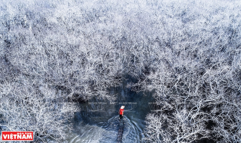 Invierno en Ru Cha, provincia central de Thua Thien-Hue (Fuente: VNA)