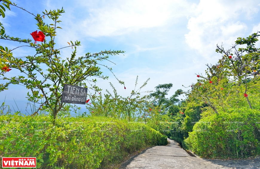 El antiguo faro es realmente un destino atractivo para los visitantes cuando visitan a la península de Son Tra (Foto: VNA)