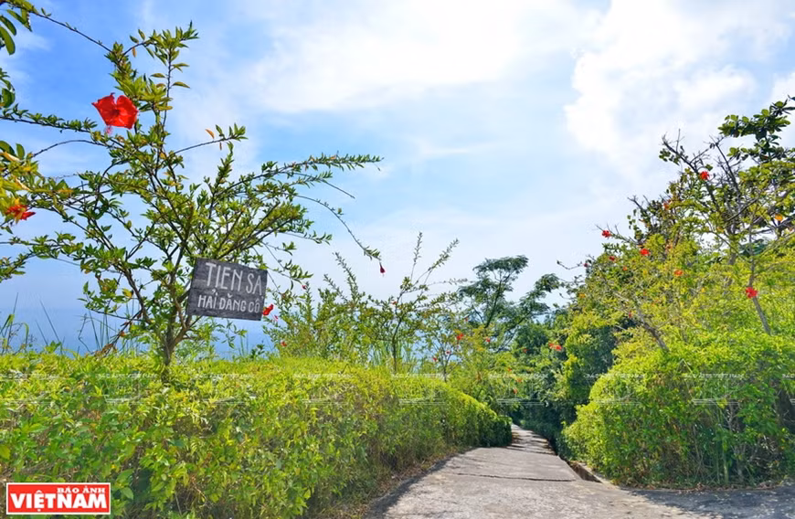 El antiguo faro es realmente un destino atractivo para los visitantes cuando visitan a la península de Son Tra (Foto: VNA)