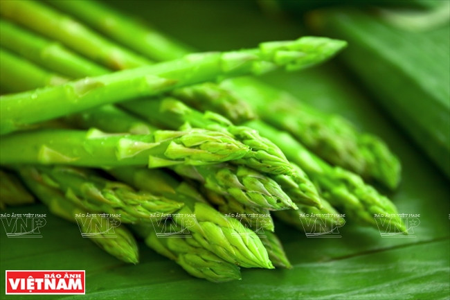 Espárrago comercial en Ninh Thuan, vendido a 60,000 - 80,000 VND/kg, es altamente rentable para los agricultores. Fuente: VNA
