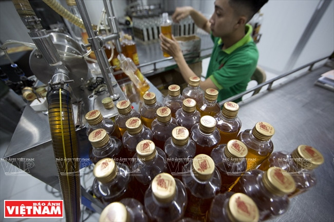 Embotellado de jarabe de uva de Phan Rang en la granja Ba Moi. Fuente: VNA 