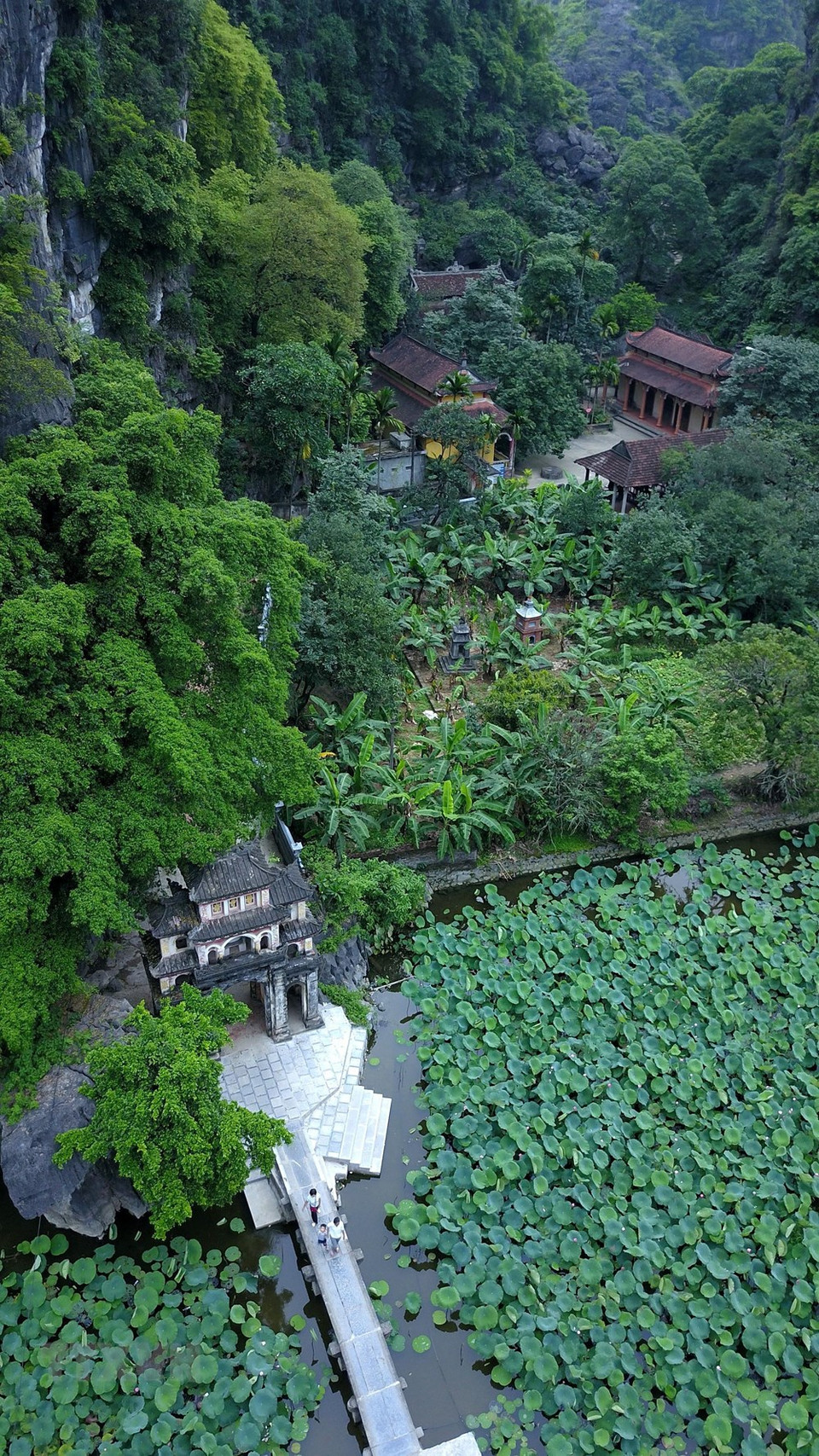 El estanque de lotos se curva bajo el pie de la montaña. (Foto: VNA)