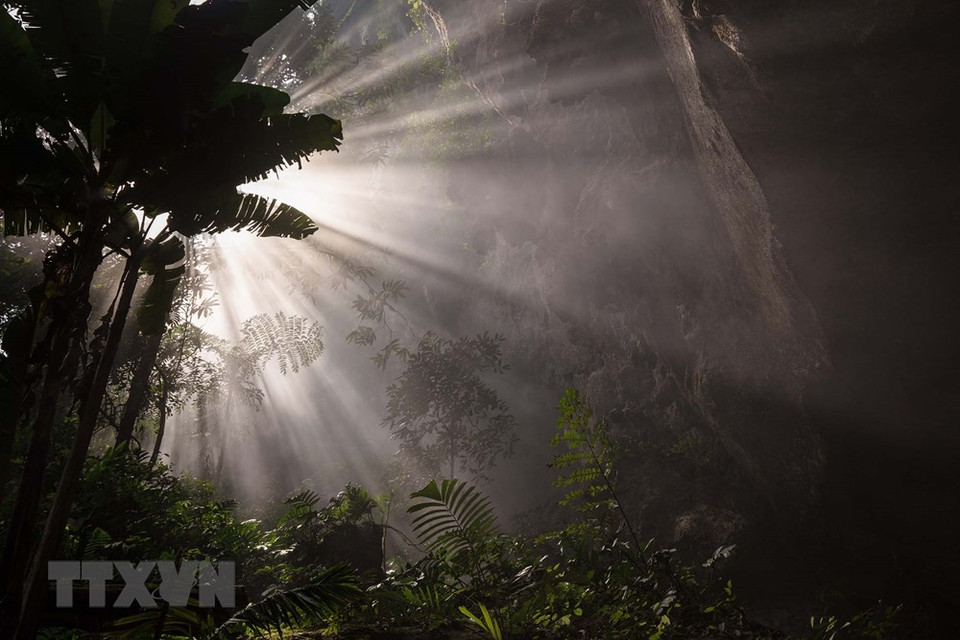 La increíble profundidad de Son Doong atrae a los viajeros que desean una verdadera aventura. 