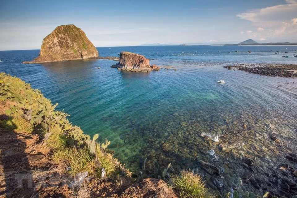 La belleza del arrecife de coral de 150 m de largo en Phu Yen. (Fuente: VNA)
