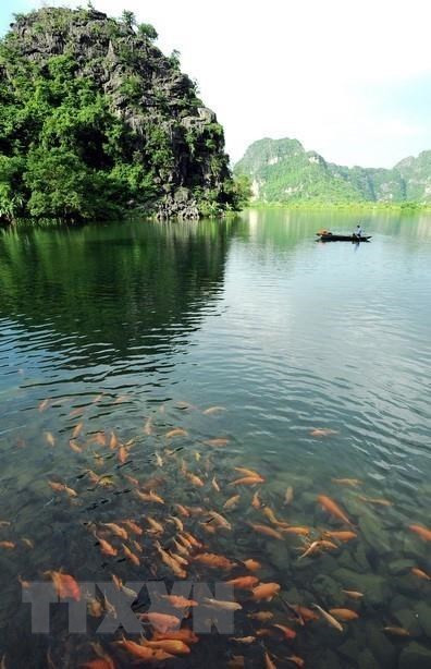 El pintoresco paisaje de Trang An es una combinación armoniosa de montañas, valles, lagos y un sistema de río. (Foto: VNA)