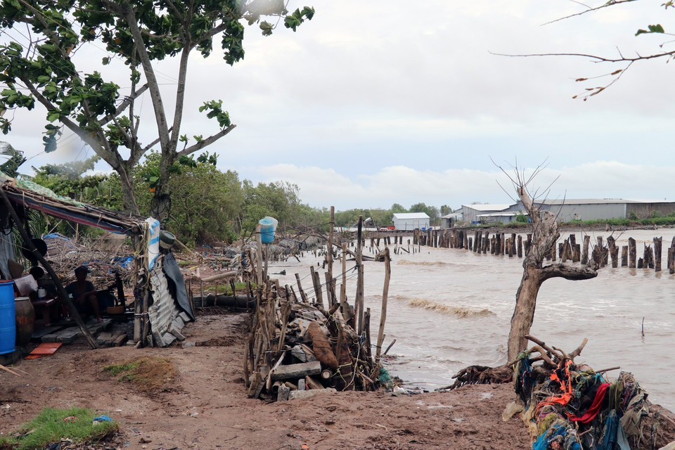 Cambio climático causa grave erosión en el dique en la costa de provincia sureña de Kien Giang. (Foto: VNA)