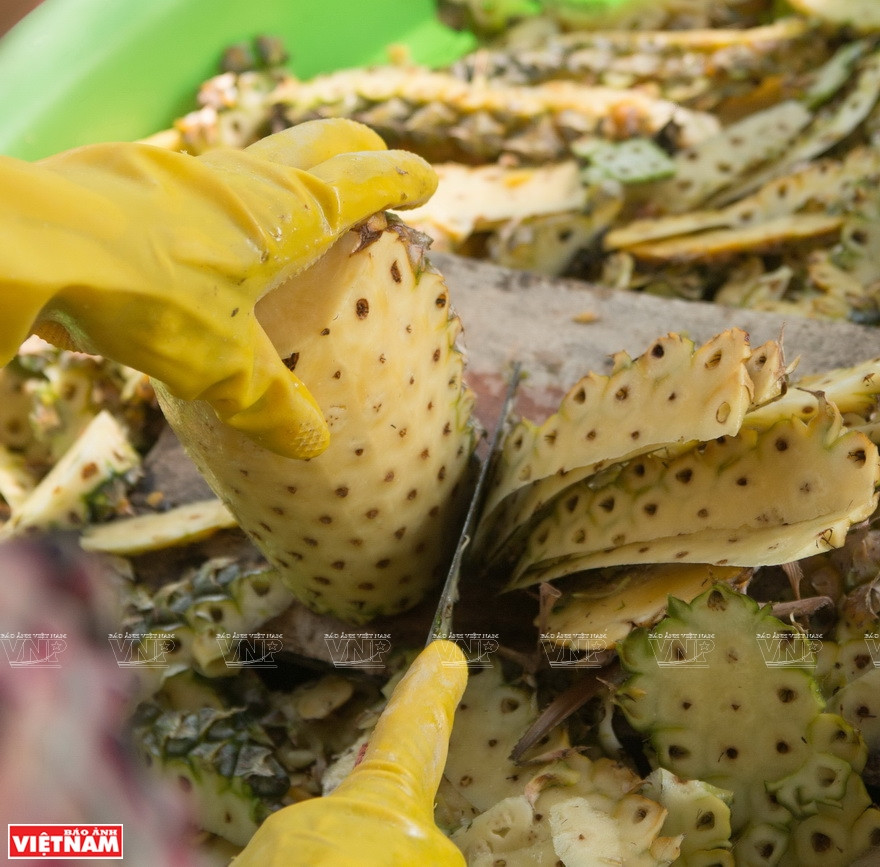Procesamiento de ananás en la compañía Le Gia, en Kien Giang. (Fuente: VNA)