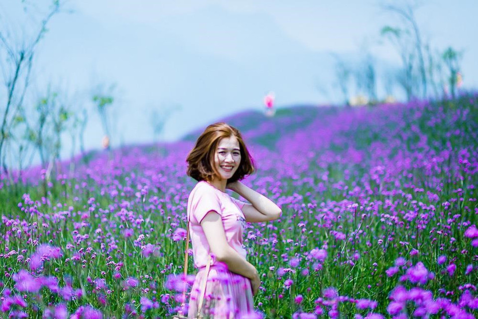 Fansipan es conocido como "el techo de Indochina", siendo reconocido como uno de los muy pocos lugares ecoturísticos de Vietnam, con más de dos mil variedades de flora y unos 300 especies de fauna.