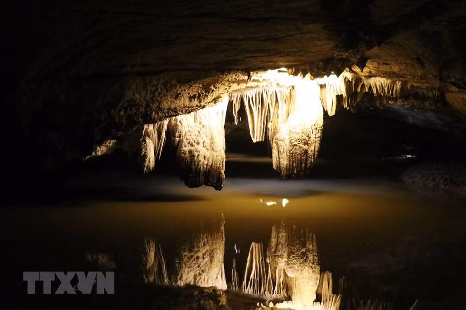 La gruta Thien Ha se divide en dos áreas que incluye una cueva seca y la otra húmeda, con una longitud total de 700 m. (Foto: VNA)