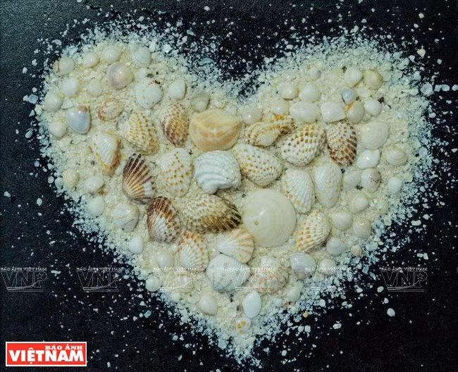 Tran Thi Ngoc Hieu, quien vive en la provincia central de Dong Nai, crea pinturas de las conchas. (Foto: VNA)
