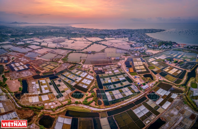 Amaneciendo en el campo de sal (Fuente: VNA)