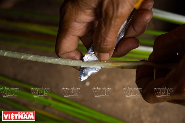 Preparación de espartos. Fuente: VNA