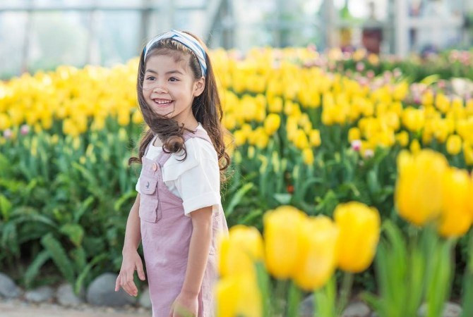 La exhibición, de dos meses de duración inaugurada este fin de semana, dispone de 100 mil tulipanes. Fuente: VietnamPlus