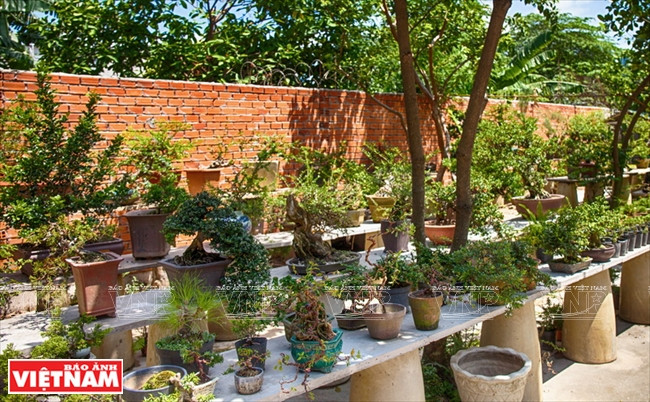 Una parte de las obras de Lam Ngoc Vinh. (Fuente: VNA)