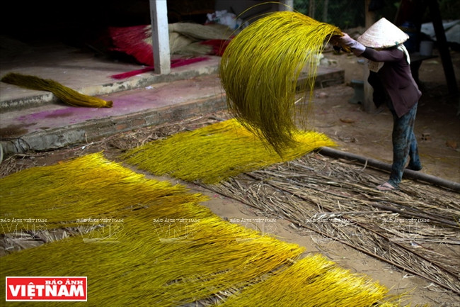 Secado de espartos tras su teñido. Fuente: VNA