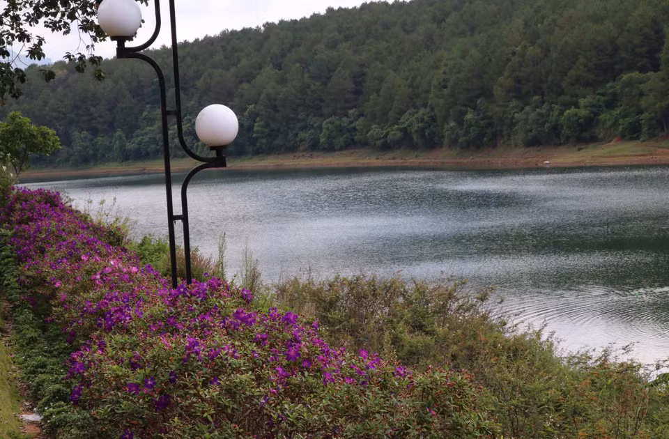 Flores brillantes ofrecen la belleza más romántica del lago (Fuente: VNA)