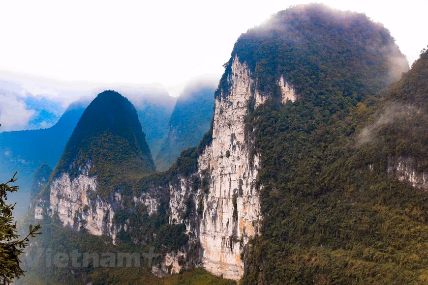 Uno de los caminos atractivos para los turistas que visitan el distrito de Meo Vac, de la provincia norteña vietnamita de Ha Giang, en el extremo septentrional del país, constituye el paisaje identificado como los “acantilados de dios” (conocidos igual con el nombre de “acantilados blancos”). Para llegar allí se necesita ascender a una altitud de mil 700 metros sobre el nivel del mar, pues se localiza en la cima de la montaña de Co Tien (Hada). Ha Giang cuenta con una superficie de cerca de ocho mil kilómetros cuadrados, es conocida por la singularidad cultural de sus 19 etnias minoritarias y numerosos paisajes, entre ellos, este lugar y la meseta rocosa de Dong Van. (Fuente: Vietnamplus)