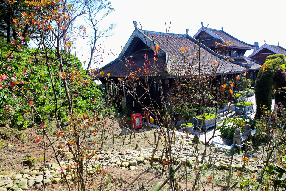 El jardín de las flores de durazno con forma de campana en Ba Na en los primeros días de 2023 (Fuente: VNA)