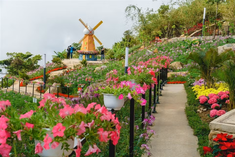 Camino de flores de cinco colores en la cima de la montaña de Ba Den (Fuente: VNA)