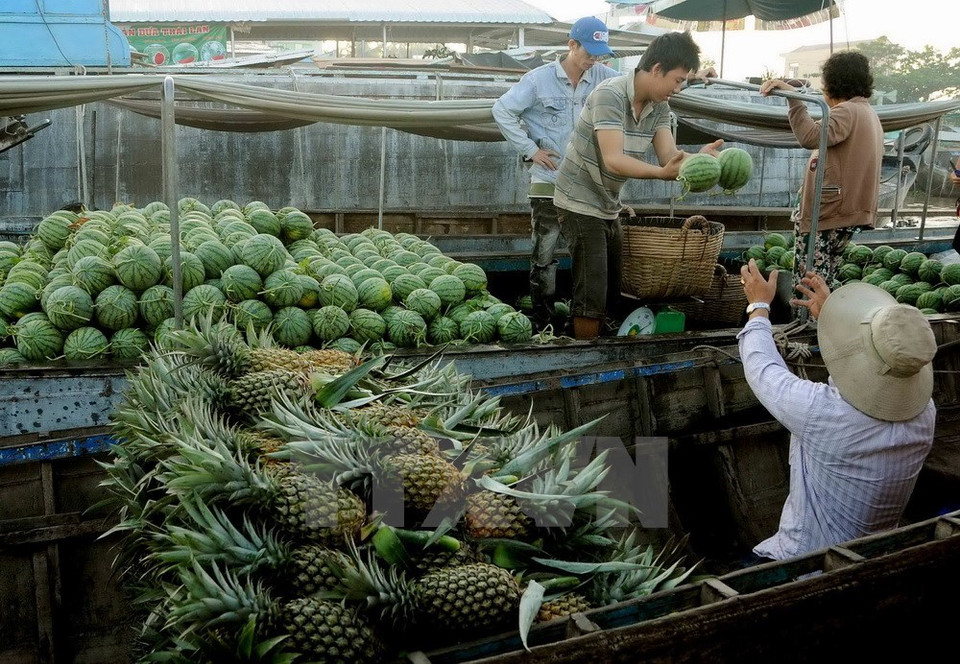  Las frutas son losartículos más populares para la venta en Cai Rang (Foto: VNA)