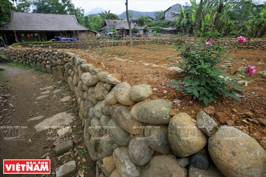 Nhập mô tả cho ảnh