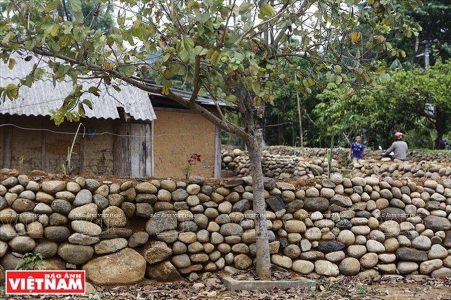 ​Vallas de piedra se convierte en una imagen popular en este lugar (Fuente: VNA)