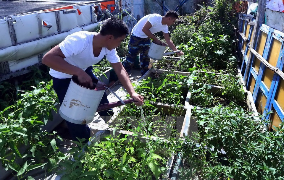 Soldados vietnamita en la isla Da Dong A siembran vegetales (Fuente: VNA)