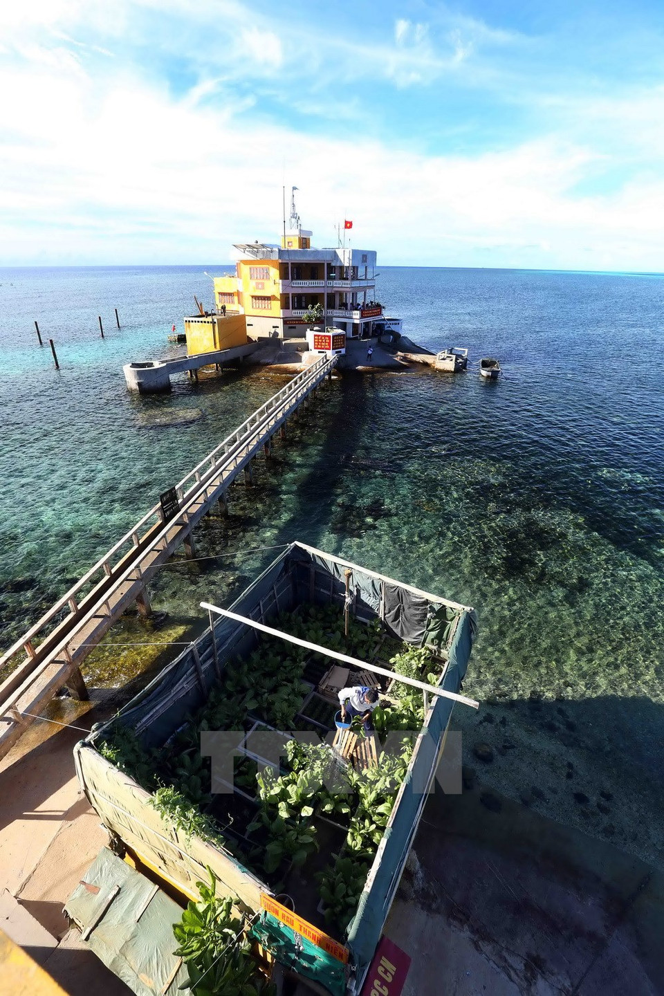 Huerta de los soldados vietnamitas en la isla de Thuyen Chai B (Fuente: VNA)