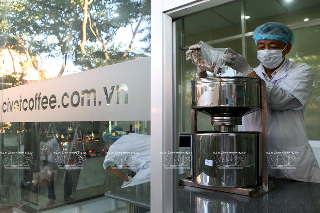 Procesamiento del café