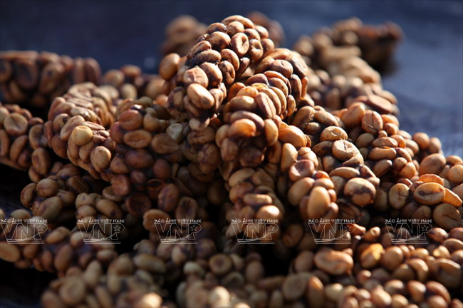 La empresa ofrece cada año unos 900 kilógramos de productos.