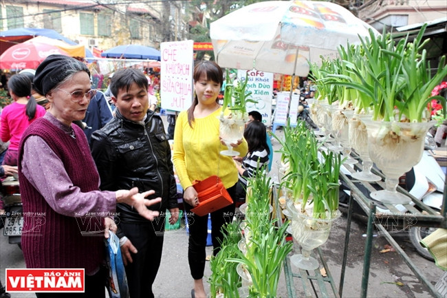 Al lado del melocotón, los hanoyenses prefieren el narciso, ya que tiene un aroma agradable y su raíz tiene figuras peculiares. 