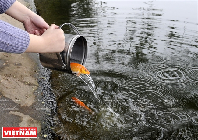 Como costumbre, el 23 de diciembre lunar las familias despiden a los dioses de la cocina, quienes, según la creencia folclórica, parten de las viviendas para informar al Cielo sobre el comportamiento de las familias durante el año que transcurre.