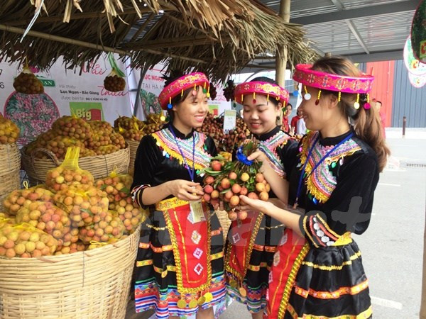 El lichi de Luc Ngan es afamado por su agradable sabor (Fuente: VNA)