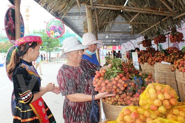 Visitantes en el evento (Fuente: VNA)