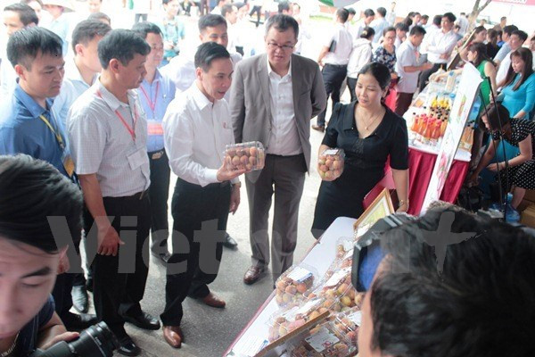 Autoridades de Bac Giang presentan este manjar local (Fuente: VNA)