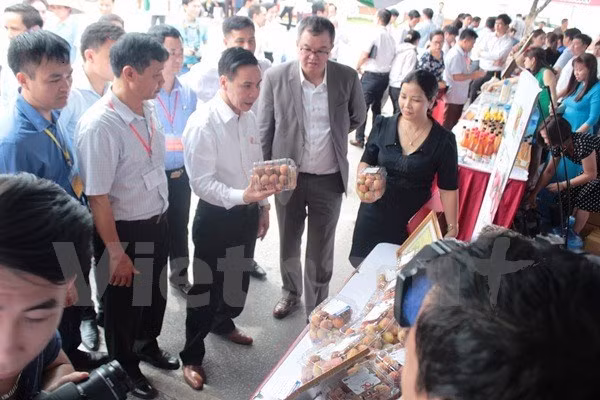 Autoridades de Bac Giang presentan este manjar local (Fuente: VNA)