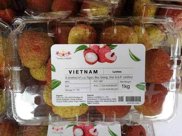 El lichi vietnamita se exporta a Estados Unidos, la Unión Europea, Japón, Sudcorea y Australia, y estará presente en Tailandia a partir de finales de este mes (Fuente: VNA)