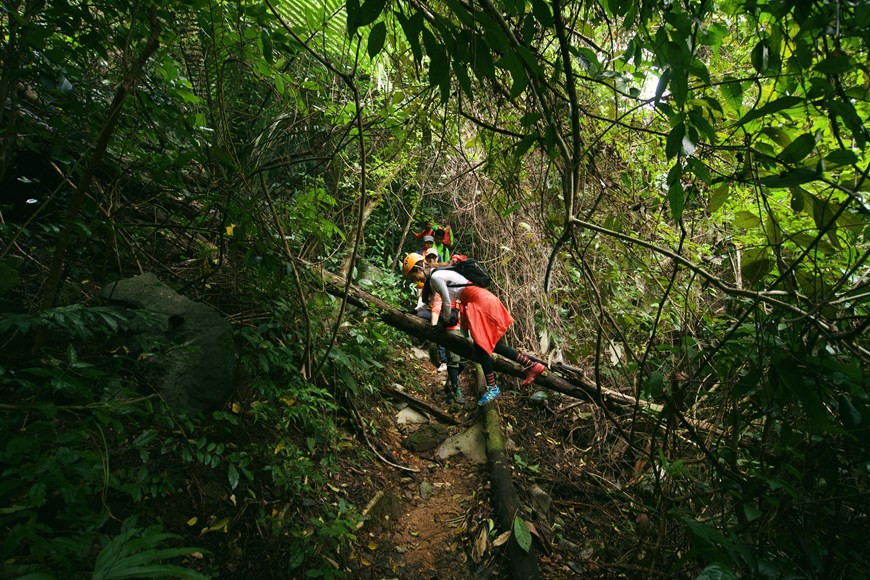 Viajar a Quang Binh en la temporada de inundaciones resulta muy interesante. Pese a que el grupo viajó a Quang Binh en ese período, el paisaje de la provincia de Quang Binh sigue siendo hermoso y encantador. No solo contempló la naturaleza de las montañas y los bosques verdes y respiró el aire fresco en la localidad, Hoang My también experimentó interesantes actividades prácticas. Tras aceptar la invitación de la provincia de Quang Binh, a Hoang My le gustó mucho el viaje porque además del descubrimiento turístico, se trata de una actividad para responder al programa de estímulo turístico local en particular y nacional en general (Fuente: Vietnamplus)