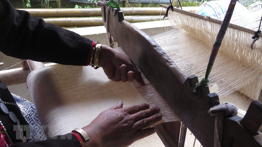 Cada tejido requiere mucho tiempo para su finalización (Fuente: VNA)