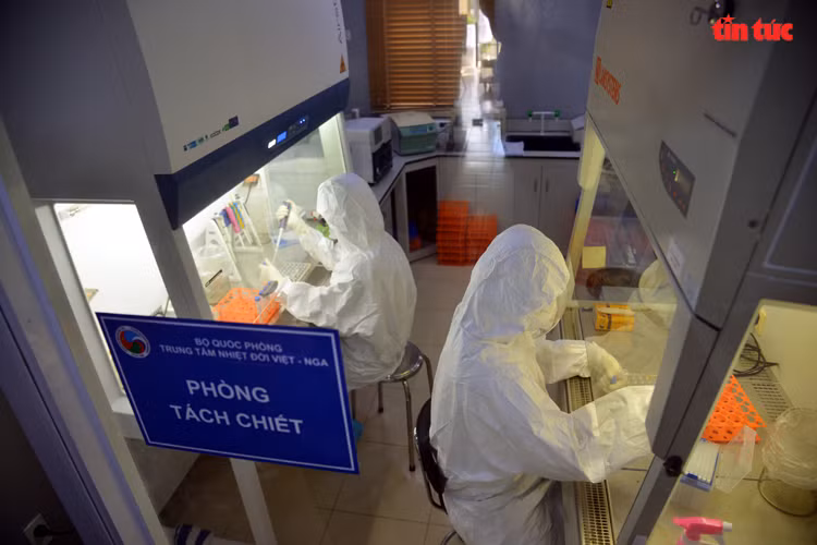 El laboratorio de campo en el sur tiene una capacidad para procesar un máximo de 800 muestras por día (Fuente: VNA)