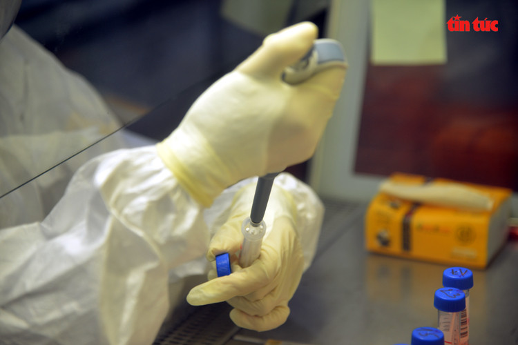 El laboratorio de campo en el sur tiene una capacidad para procesar un máximo de 800 muestras por día (Fuente: VNA)