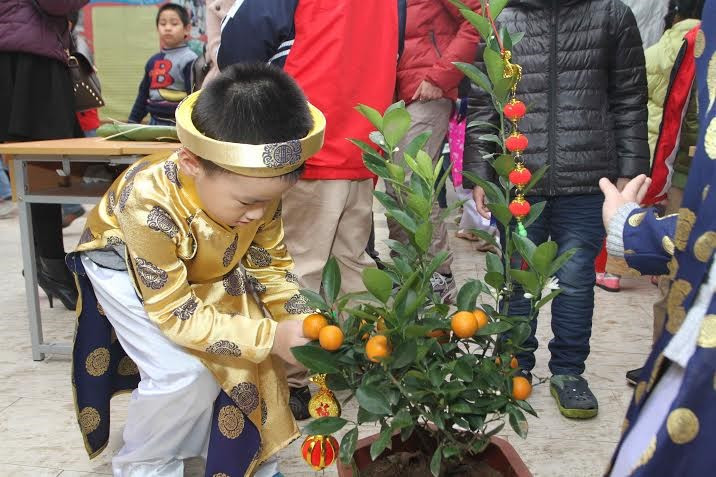 Adorna una planta de quinoto (Fuente: VNA)