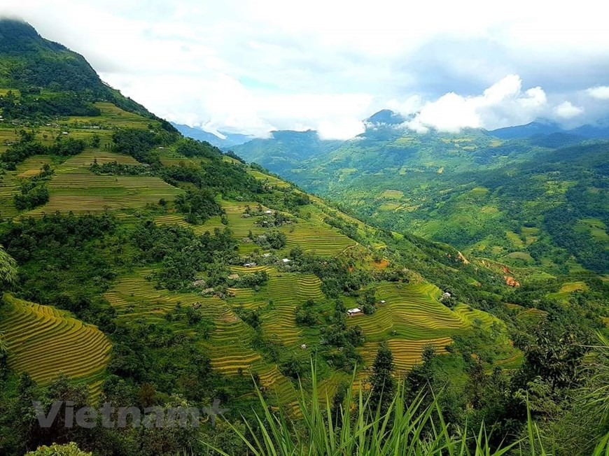 Hoang Su Phi es un distrito montañoso fronterizo, ubicado al oeste de la provincia de Ha Giang. Es un lugar que vale la pena explorar en el noroeste de Vietnam, además de otros destinos turísticos conocidos en esa región como Y Ty, Sa Pa o Mu Cang Chai. A 320 kilómetros al norte de Hanoi y con 300 años de antigüedad, sus terrazas son una atracción turística tanto para viajeros nacionales como extranjeros. Posee majestuosas montañas rocosas y coloridas terrazas de arroz, extendidas en vastos valles, el distrito de Hoang Su Phi, en la provincia de Ha Giang, se convirtió en un imán turístico en la región del norte del país indochino. (Foto: Vietnam+)
