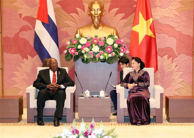  La presidente de la Asamblea Nacional de Vietnam, Nguyen Thi Kim Ngan, conversa con el primer vicepresidente de los Consejos de Estado y de Ministros de Cuba, Salvador Valdés Mesa (Fuente: VNA)